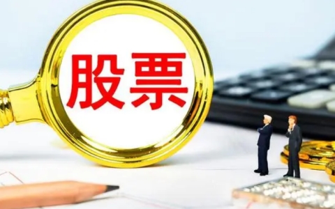 判断其投资价值和潜力